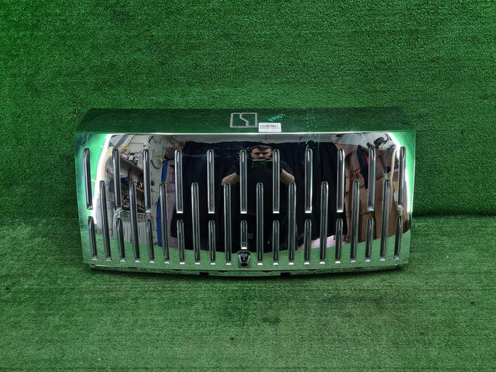 Решетка радиатора Zeekr 009 (2022-н.в.)