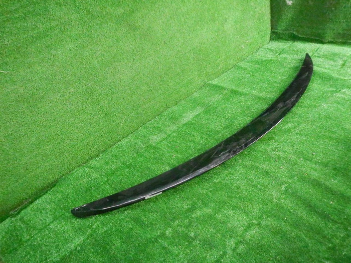 DSCN2991.JPG