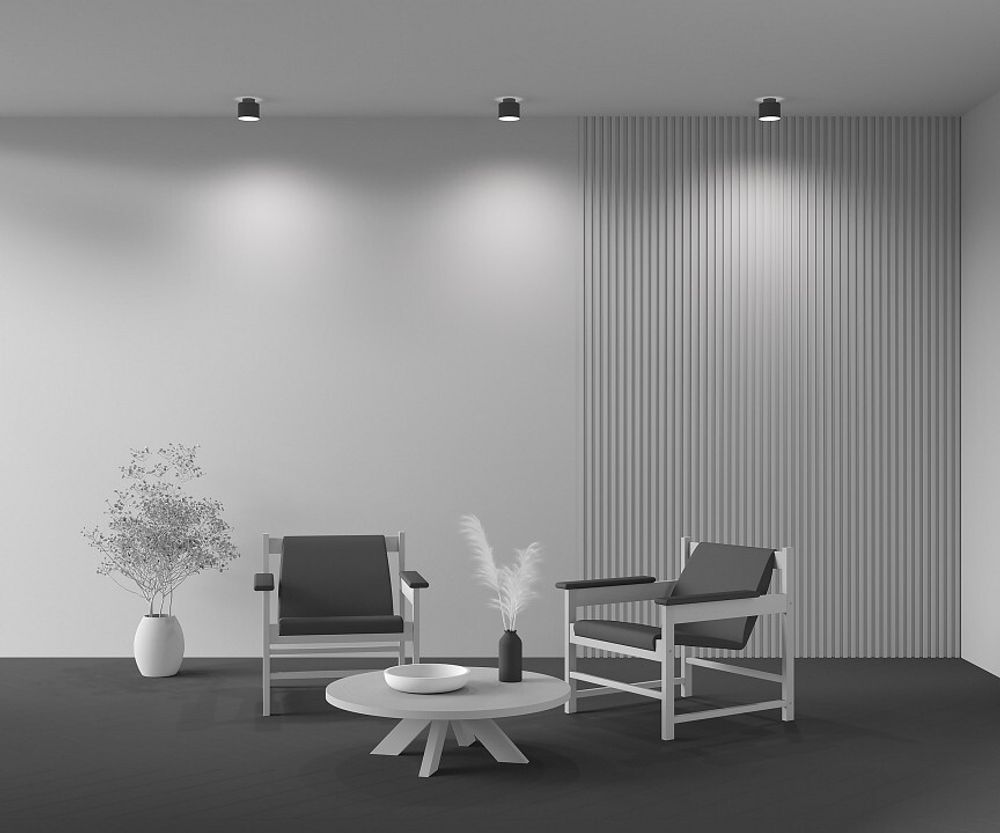 Накладной светильник Maytoni Planet C009CW-L12B