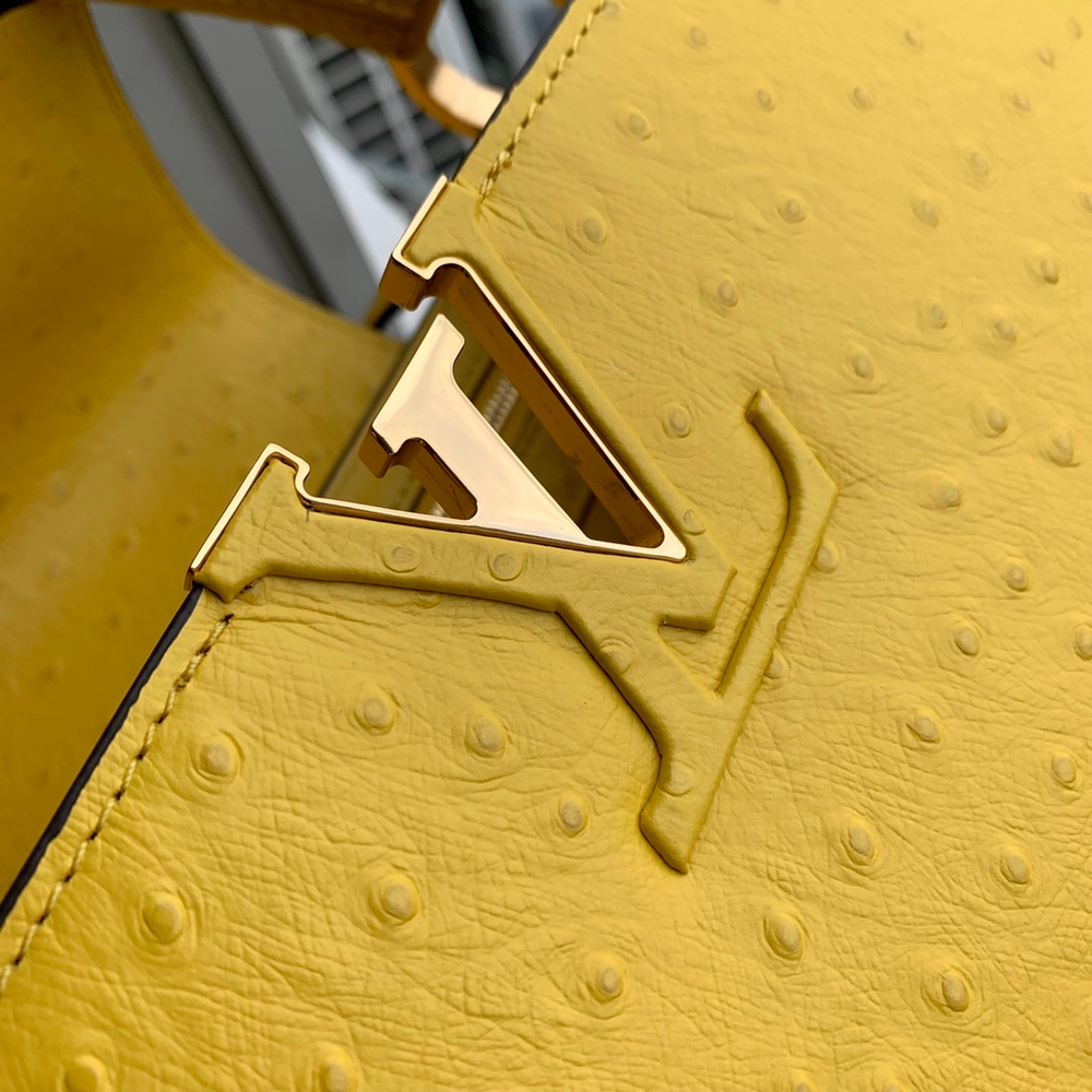 Louis Vuitton Capucines Mini