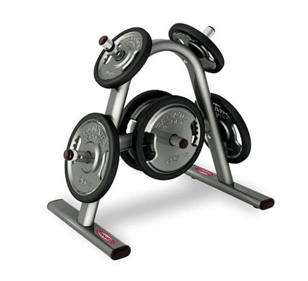 Стойка для дисков PANATTA Fit Evo 1FE252