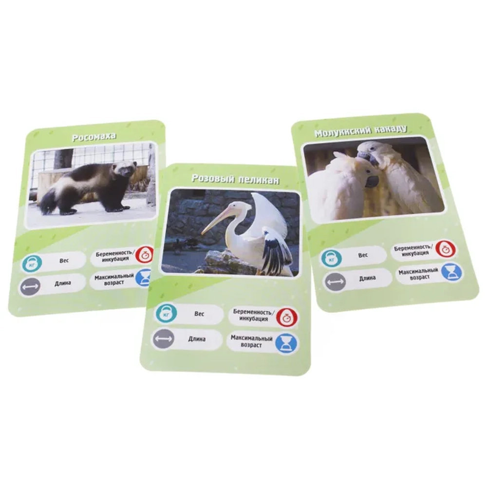 Настольная карточная игра Это факт! ЗООПАРК