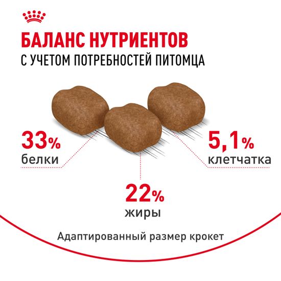 Royal Canin Hair & Skin Care корм для взрослых кошек и котов, обеспечивающий здоровье кожи, красоту и блеск шерсти через 21 день