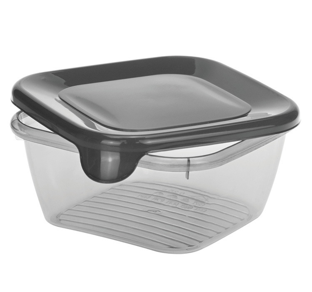 Емкость для продуктов ПРАКТИК 0,25л