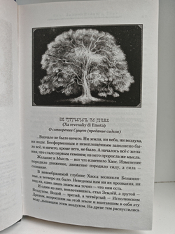 Семь зверей Райлега. Тёрн