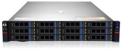 Серверная платформа 2U Gooxi SR201-D12R