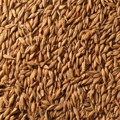 Ячмень фуражный 5 кг