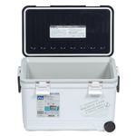 Термобокс SHINWA Holiday Land Cooler 27H белый  /6