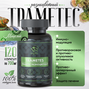Траметес