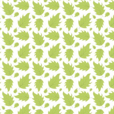 Березовые листья