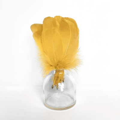 Гусиные перья апельсиновые скругленные 20шт.