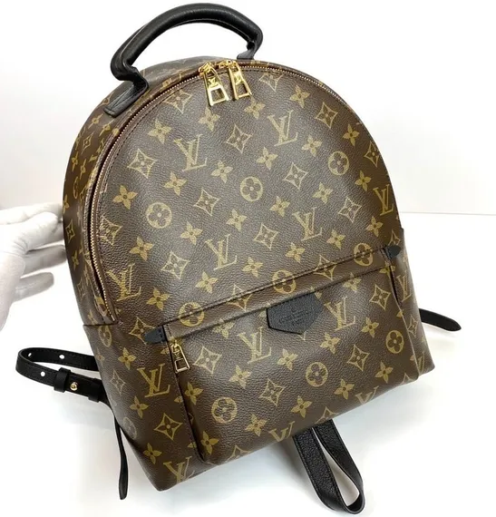 Рюкзак Louis Vuitton Palm Springs PM коричневый