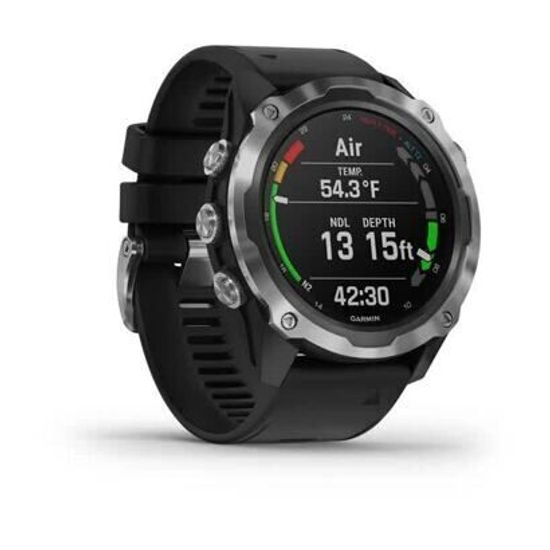 Смарт-часы Garmin Descent Mk2 черный 010-02132-10