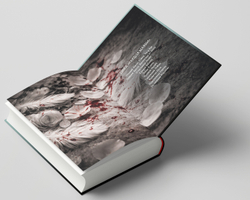 Падший ангел. Сквозь ад и рай. Предзаказ. Выход в апреле 2026 г.