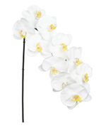 Орхидея фаленопсис белая 95 см