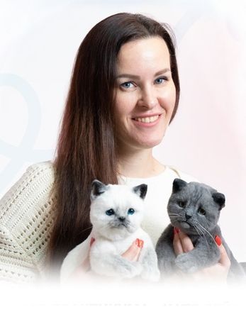 Наборы по котятам