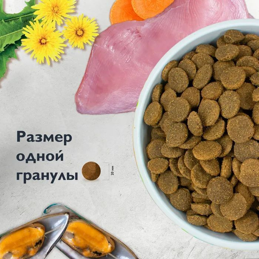 Корм для собак сухой BRIT CARE "Dog Adult Large Chondroprotectors" для крупных пород, с индейкой и уткой, 3 кг