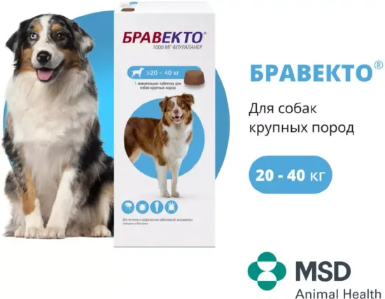 MSD Animal Health Бравекто для собак 20-40 кг, таблетки 1000 мг 1 шт. в уп., 1 уп.