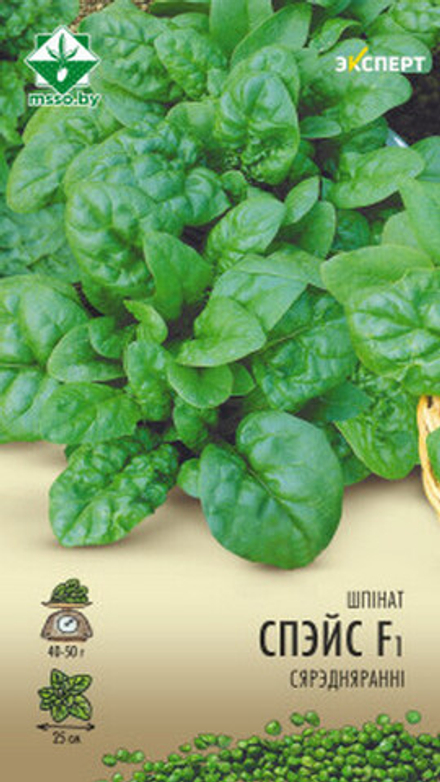 Шпинат "Спейс F1" 1г, Нидерланды.