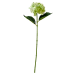 Гортензия зеленая 66 см