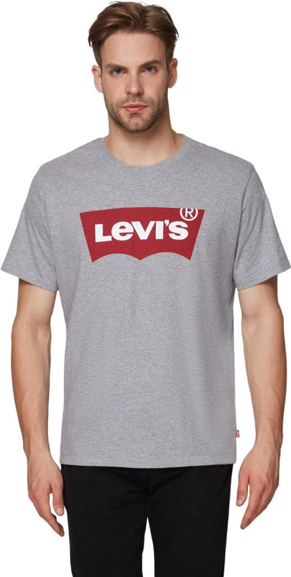 Футболка Levis Levi's Original GRAPHIC SETIN NECK GRAPHIC H215 MIDTON