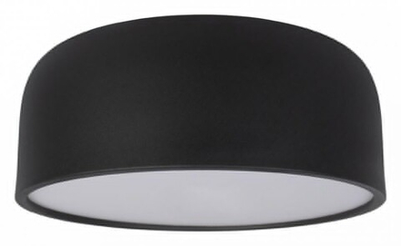 Накладной светильник Loft it Axel 10201/350 Black