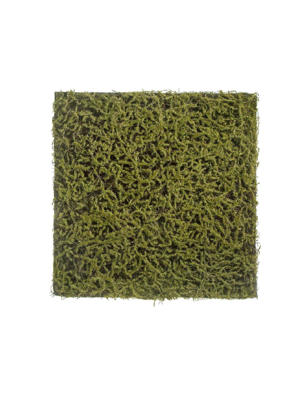Мох Сфагнум Fuscum оливково-зелёный (полотно на подложке) 50х50 см 48/48 20.0820412S
