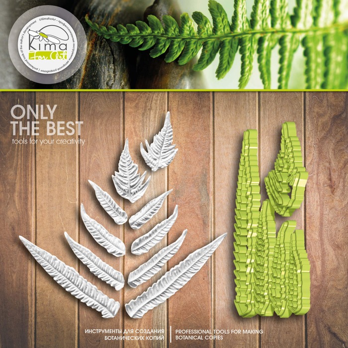 Папоротник набор полный