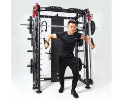 Мультистанция, машина Смита DFC Gorilla Sport 822