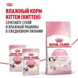 Royal Canin Kitten Корм сухой сбалансированный для котят в период второй фазы роста до 12 месяцев - 10 кг