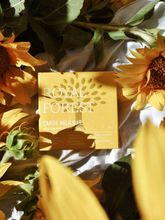 Шоколад из кэроба необжаренного Royal Forest, 75 г