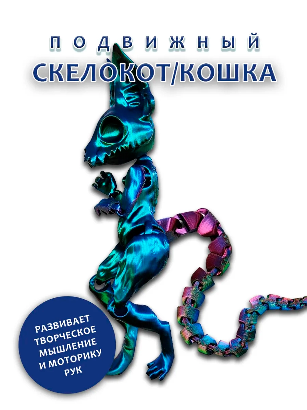 Скелет Кошки