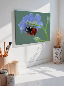 Картина на стену 40 X 50 Божья коровка