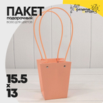 Пакет подарочный 15,5х13х9,5 Ваза для цветов (Персиковый)