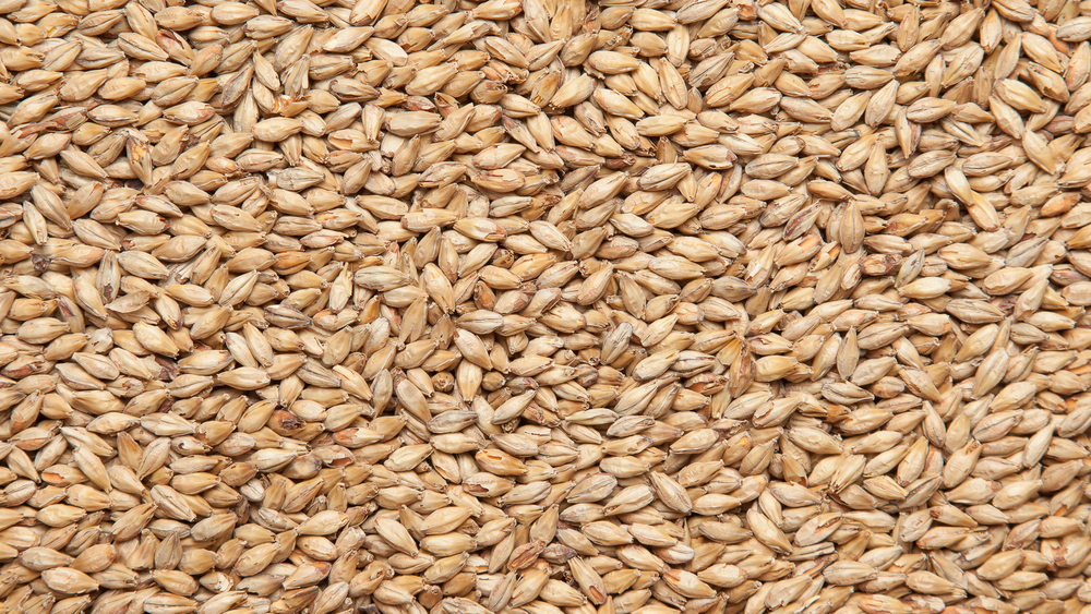 475b4af4d2a8d5f60694aea8c2fbfbab