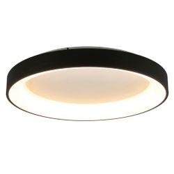 8581 Потолочный светильник NISEKO II