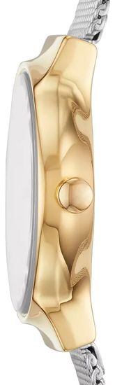 Женские часы Skagen SKW2666