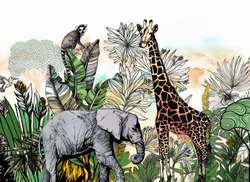 ZOO 8