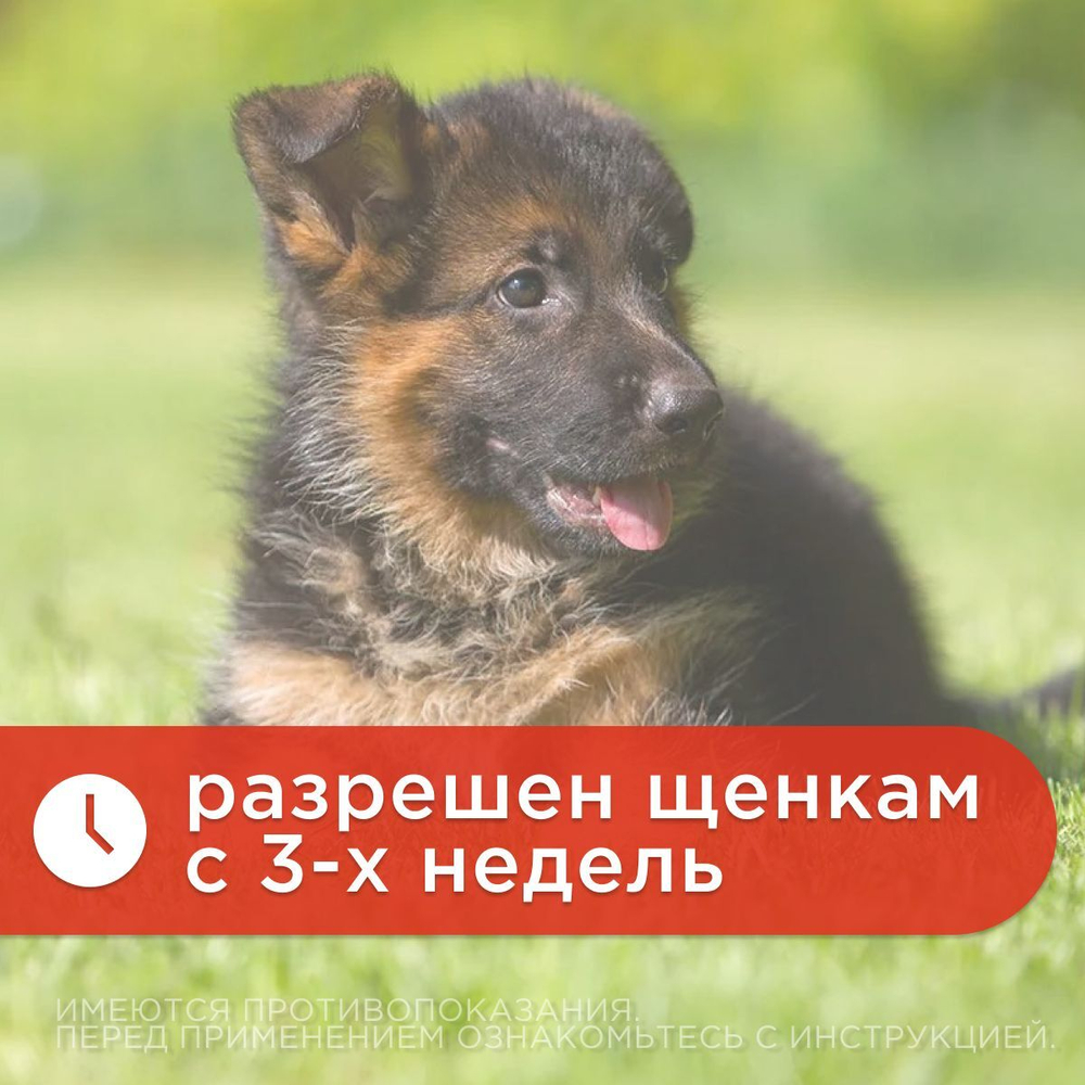 Таблетки от гельминтов для собак Празицид APICENNA, 6таб. Празиквантел/Пирантел