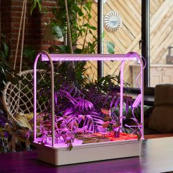 UST-E32 WHITE 2M Таймер с вилкой и разъемом L.N для фито светильника. 220В. 150Вт. Провод 2 метра. ТМ Uniel