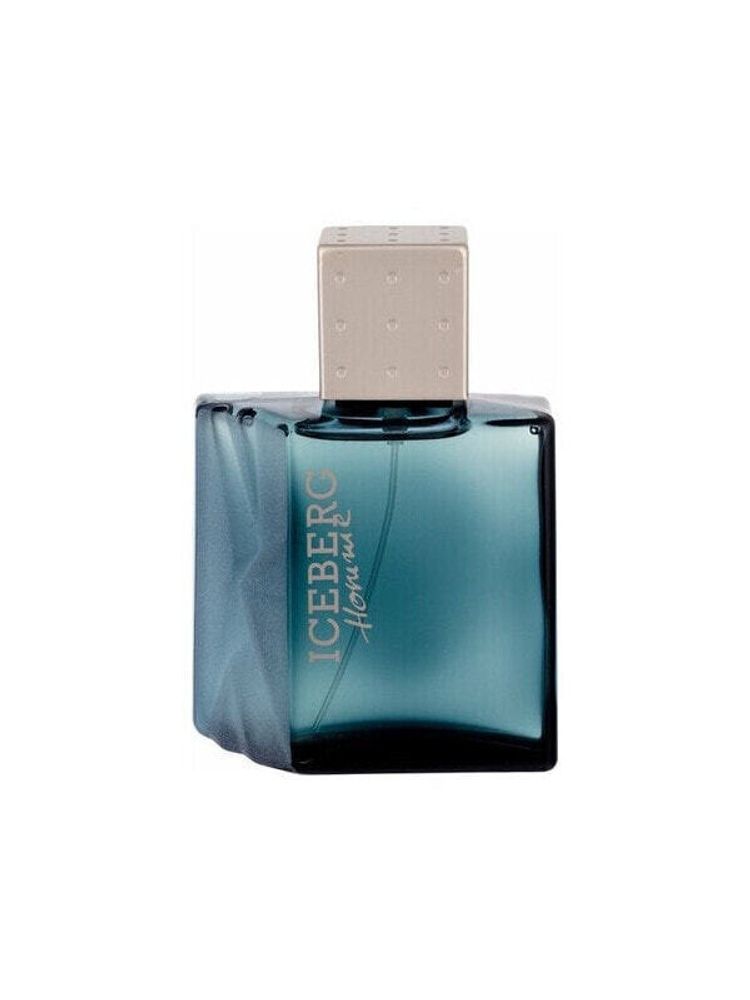 Мужская парфюмерия Iceberg Homme Eau de Toilette