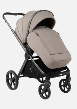 Pituso Коляска 2 в 1 Teffy Hazel/Graphite