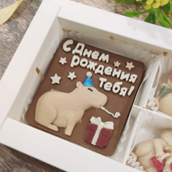 Набор "С днём рождения" с капибарами #2