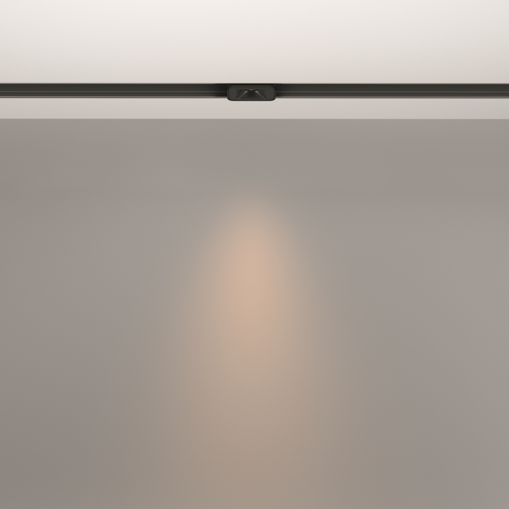 Трековый светильник Technical TR100-2-2W3K-S-B