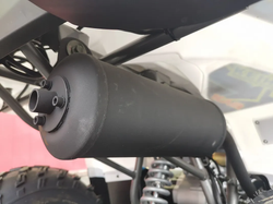 Квадроцикл PROMAX RENEGADE 280 LUX (2025)