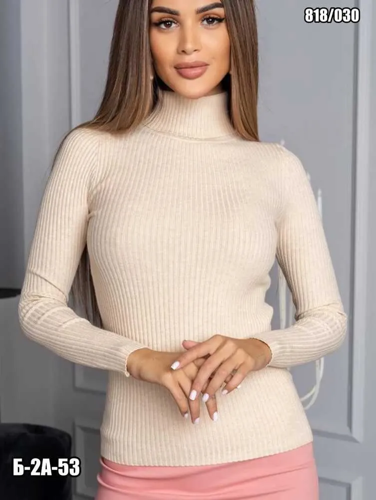 Водолазка 4145655 (01288329714) Fabrika