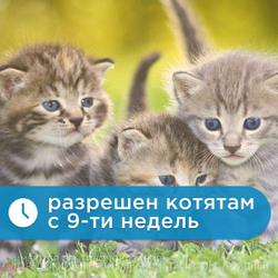 Капли на холку против блох, клещей и круглых гельминтов Elanco Адвокат для кошек более 4кг, 1пипетка