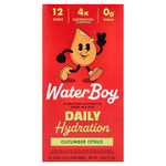 Waterboy, Daily Hydration, смесь для приготовления электролитического напитка, огурец и цитрус, 12 стиков в упаковке, 3,2 г (0,11 унции)