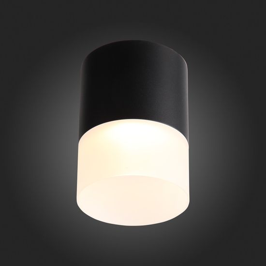 ST100.402.15 Светильник потолочный Черный LED 1*15W 3000K 1 170Lm Ra>80 120° D118xH150 170-240VV Накладные светильники