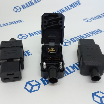 Штекер/вилка C19